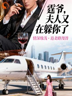 沐小小陆震霆小说章节目录阅读-霆爷夫人又在躲你了在哪免费看