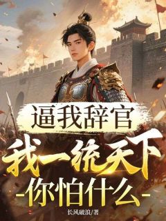逼我辞官，我一统天下你怕什么免费小说作者长风破浪全文阅读