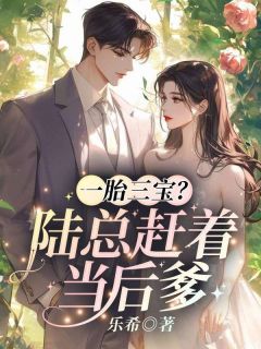 精选好书一胎三宝？陆总赶着当后爹无删减版全文在线