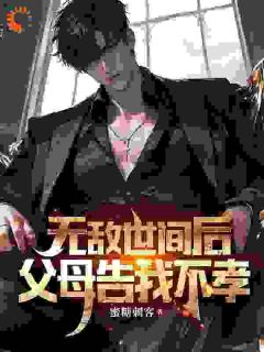 书荒必备陆盛陆震天小说