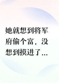 半夜偶遇将军章节全目录 李西漠许沉刘阿大全文免费阅读