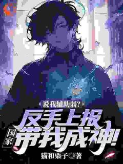 说我辅助弱？反手上报，国家带我成神！苏启张志免费全章节目录阅读