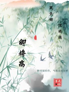 卿将离小说全集(沈将离易则莫负卿)无弹窗广告阅读