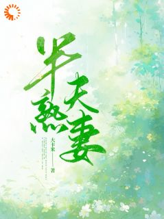 (精品)半熟夫妻小说