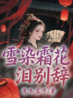 主角殷婉意江砚择小说，雪染霜花泪别辞免费阅读全文