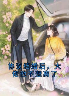 热门推荐协议结婚后，大佬他不想离了by飞飞飞尔小说正版在线