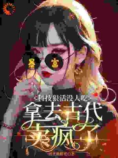 火爆科技狠活没人吃，拿去古代卖疯了小说，主角是夏云淑陈琪在线阅读全文无删减