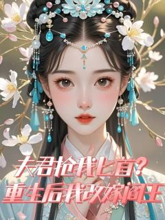 夫君抢我匕首？重生后我改嫁阎王小说的书名是什么