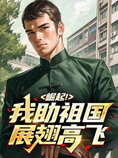 崛起！我助祖国展翅高飞免费章节崛起！我助祖国展翅高飞点我搜索全章节小说