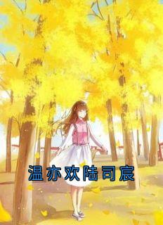 温亦欢陆司宸by神秘人免费阅读小说大结局