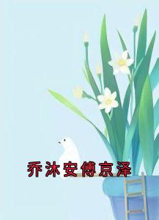 乔沐安傅京泽乔沐安傅京泽最新章节在线阅读