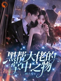 黑帮大佬的掌中之物叶初沈银赫小说_黑帮大佬的掌中之物完结版阅读
