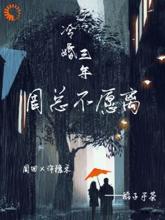 好文热推小说冷婚三年，周总不愿离主角许穗禾周回全文在线阅读