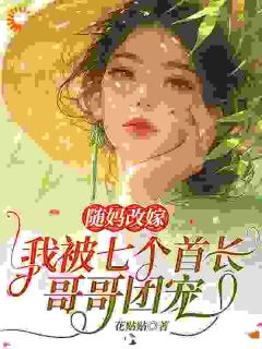 抖音小说随妈改嫁，我被七个首长哥哥团宠主角叶琳琅霍闻洲全文小说免费阅读