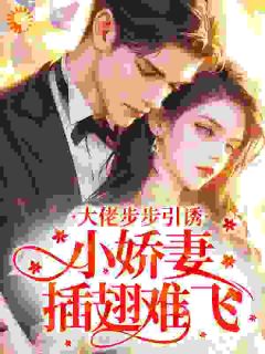 大佬步步引诱，小娇妻插翅难飞[抖音]小说-温瑾沈延之无删减阅读