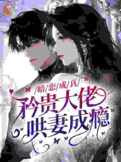 老书虫力荐暗恋成真，矜贵大佬哄妻成瘾免费无弹窗阅读