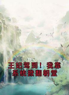 【热文】王妃驾到！我靠系统掀翻朝堂主角卫芸芸宋宜小说全集免费阅读