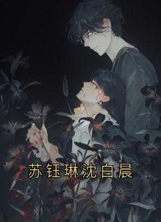最完整版苏钰琳沈白晨热门连载小说