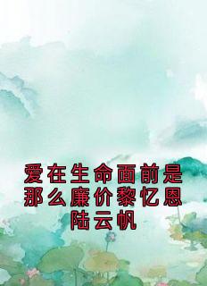 爱在生命面前是那么廉价黎忆恩陆云帆无广告阅读 黎忆恩陆云帆免费在线阅读