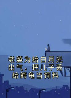 苏曼宋程小说结局