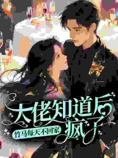 竹马每天不回家，大佬知道后疯了小说宋巧儿贺辰免费阅读