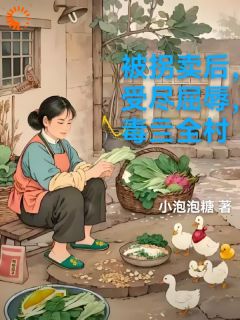 被拐卖后，受尽屈辱，毒亖全村免费阅读全文，主角白芷林宇小说