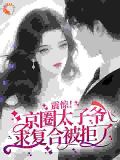 主角是黎月吟周赫的小说震惊！京圈太子爷求复合被拒了最完整版热门连载