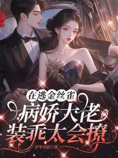 在逃金丝雀，病娇大佬装乖太会撩小说(完结版)-孟若朝裴江暮在线阅读
