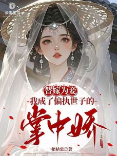 良心推荐替嫁为妾，我成了偏执世子的掌中娇小说试读