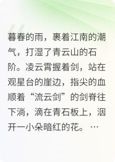 凌云霄苏轻寒全集小说_碎剑吟完结版阅读