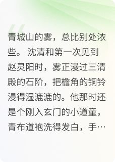 玄门钟鸣与宫墙血誓【全章节】林文彦赵灵阳青城山完结版免费阅读