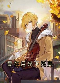 徐韵傅御小说哪里可以看 小说爱在月光下完美全文免费阅读