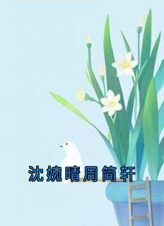 沈婉晴周简轩沈婉晴周简轩全章节目录免费阅读