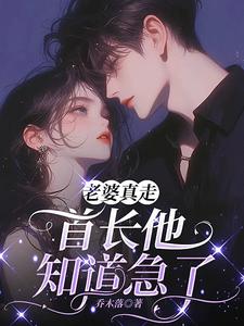 闪婚三年她提离婚，他却疯了小说(完结版)-鹿黎栾时晏在线阅读