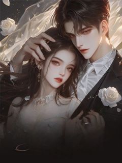 主角沈淮远陈婉意小说，远路风烟破晓行免费阅读全文