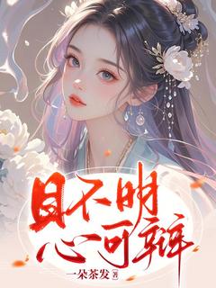 目不明，心可辨小说的书名是什么