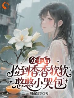 优质新书分手后，捡到香香软软憨憨小哭包最新章节小说全文阅读