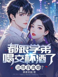 百度贴吧小说你出轨学弟，我转身娶了小姨子，主角傅司寒宋清晚全文免费