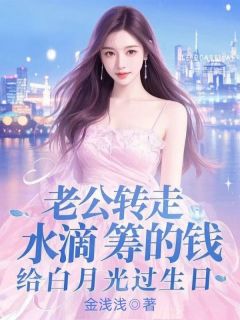 老公转走水滴筹的钱，给白月光过生日(沈星辰苏梦)全文章节在线阅读