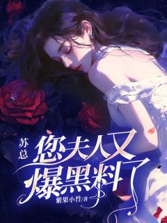 热门推荐苏总，您夫人又爆黑料了by紫果小竹小说正版在线