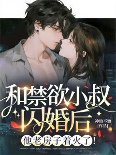 和禁欲小叔闪婚后，他老房子着火了！(神仙不渡小说)小说最新章节