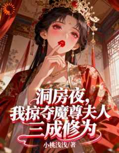洞房夜，我掠夺魔尊夫人三成修为小说的书名是什么