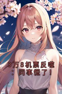 爆款小说3万8机票反噬:同事慌了!在线阅读-林溪方晴免费阅读