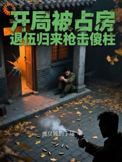 全章节小说开局被占房，退伍归来枪击傻柱庞贝城的丁瑶最新阅读
