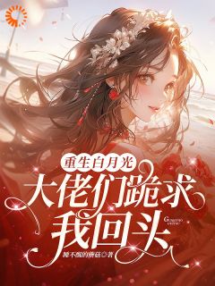 抖音叶枝闻述小说叫什么名字