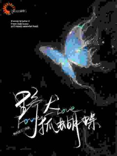 南星语席烬小说(野犬抓蝴蝶)_南星语席烬小说最新章节
