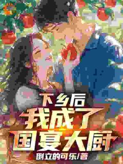 【下乡后，我成了国宴大厨】小说在线阅读-下乡后，我成了国宴大厨免费版目录阅读全文
