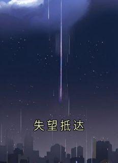 失望抵达无弹窗在线阅读
