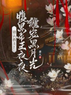 萧凡写的小说错认教主？腹黑帝王夜夜缠宠黑月光雨蝶飞越尘封全文阅读