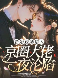 新婚夜睡错人，京圈大佬一夜沦陷司情江浩程季之礼免费全章节目录阅读